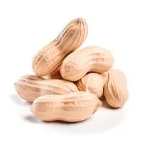L-Arginine ingredient